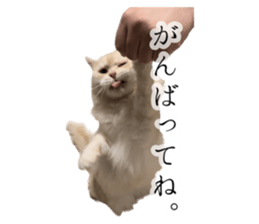 535674444
