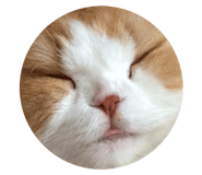 535677355