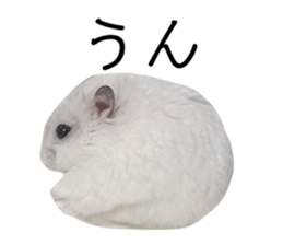 535681887