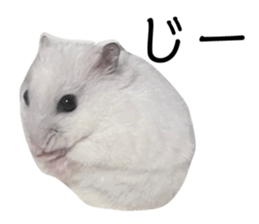 535681889