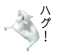 535681890