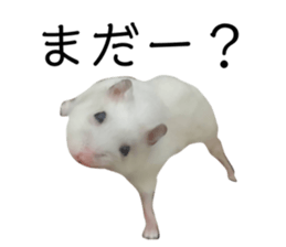 535681891