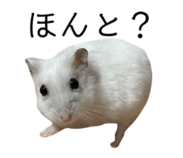 535681892
