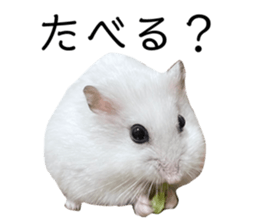 535681893