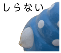 535681895