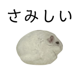 535681896