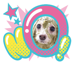 535683203