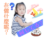 535684003