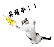 535684808