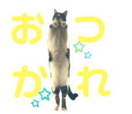 535684810