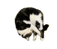 535684812