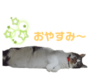 535684814