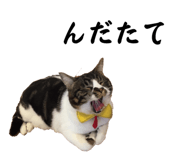 535684820
