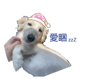 535686022