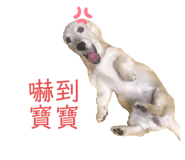 535686027