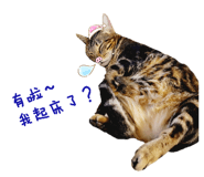 535699049