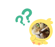 535699057