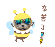 535699064