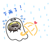 535699066