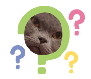 535699073