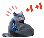 535699076