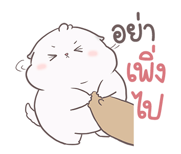 ลายที่ 9