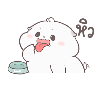 ลายที่ 13