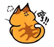 535735054