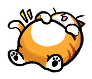 535735055