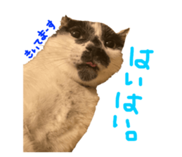 535748155