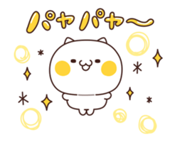 53574845
