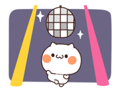 53574849