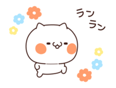 53574854