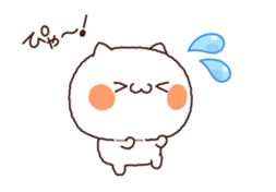 53574861