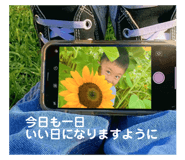 535754239