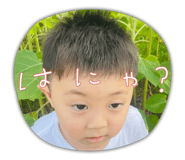 535754258