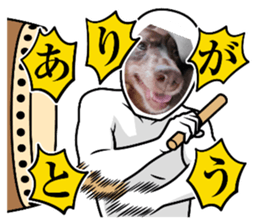 535763068