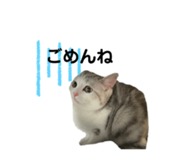 535781429