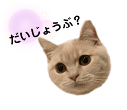 535781435