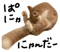 535798221