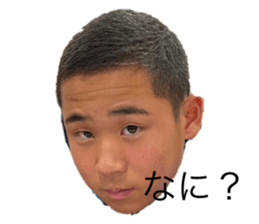 535907556