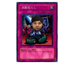 535950005
