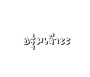 535974041