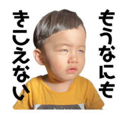 535995377