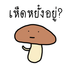 ลายที่ 7