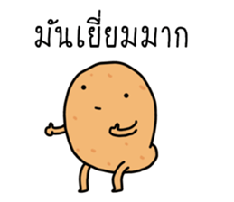 ลายที่ 9