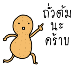 ลายที่ 11