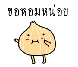 ลายที่ 13