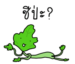 ลายที่ 15