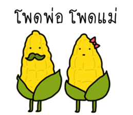 ลายที่ 19